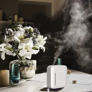 Bluetooth and Area Supply Machines Now Mounted Fragrance, Spray Small Luxury Smart Essential Aroma Diffuser Battery