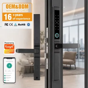 Broken Bridge Aluminum Smart Handle Lock Biometric Smart Door Lock Fingerprint Recognition Electronic Passwords Tuya APP Control