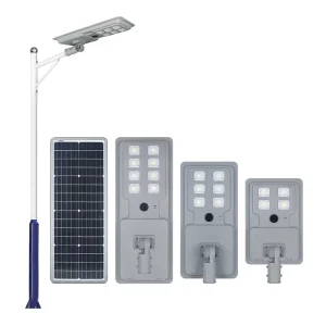 Carbon Steel All in One Solar Street Light with Motion Sensor 80W 100W MPPT IP65 Waterproof for Road Highway Municipal Project