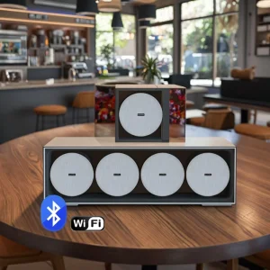 Ceiling Mounted Speaker Heavy Bass Home Decoration Store Embedded Speaker Ceiling WiFi Smart Speaker