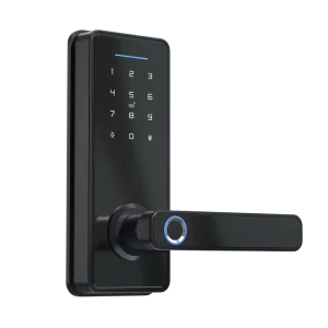 Cheapest Good Quality Keyless Smart Lock for Front Door Lock with Keypad Fingerprint Biometric Door Lock