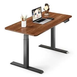 Commercial Standing Desk Frame Dual Motor Heavy Duty Sit Stand Desk Home Ergonomic Office Desk