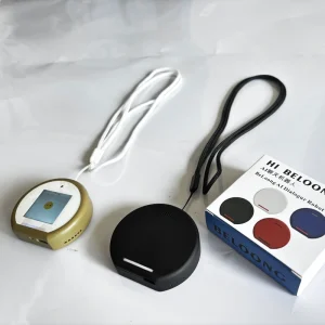 Custom AI Smart Assistant Speaker Select Colors Features Good for Office Home Outdoor Large Volume Battery Equipped