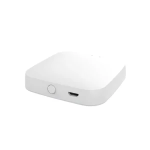 Customized Graffiti Smart Home Zigbee BLE Dual-mode Gateway Mini USB Powered Tuya App Controlled Wireless Host PC Material US