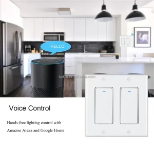 DS-122-S 2 Gang Alexa&Google Connect WiFi Hands-Free Voice Control US Standard Wall Switches Smart Home Products Devices
