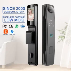 Digital Smart Lock with Biometric Lock Hotel Manufacturer Waterproof Electronic Intelligent Door Lock System