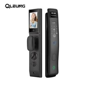 Digital WiFi 3D Face Palm Recognition Smart Lock Video Calling Fingerprint Code Card Smart Keyless Entry Lock for Wood Door