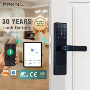 EBKN Tuya Smart Door Lock Anti theft Fingerprint App Remote Control Keyless Entry Security Fingerprint Door Lock