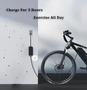 Ebike Battery Charger And Ebike Charger 48v And 48v Ebike Battery Charger
