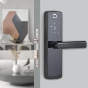 Electronic Door Lock Intelligent Password Lock Biometric Fingerprint Automatic Smart Door