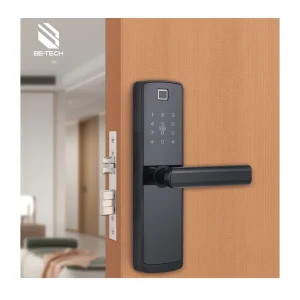Electronic Finger Print Smart Doorlock Lock Automatic Digital Lock Intelligent Password Smart Lock