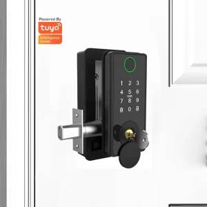 Electronic Smart Fingerprint Lock App Biometric Fingerprint for Aluminium Alloy for Wood Aluminum Doors