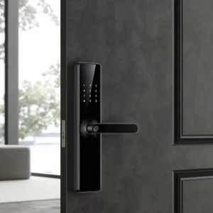 Electronic Smart Lock – Waterproof & Anti-theft Ideal for Apartments Smart Door Lock