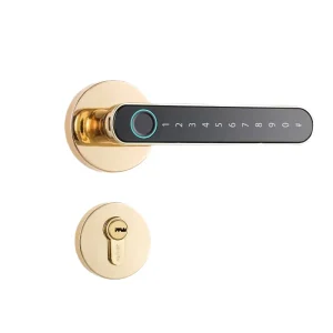 Enrique Tuya Mortise Smart Lock with Tuya App Control Zinc Alloy for Wood Steel Doors Adjustable Latch