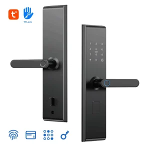 Entry Door Smart Lock Ttlock Fingerprint Keypad Card RFID Key Tuya APP WiFi Bluetooth 5 in 1 Keyless Entry for Home Security