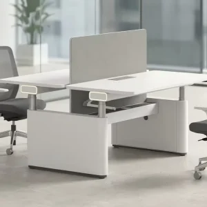 Ergonomic 2 Person Height Adjustable Workstation Desk Electric Standing Office Bench with Privacy Divider and Cable Tray