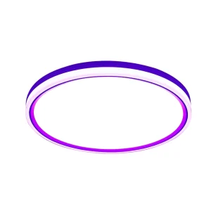 Everstar 24W RGB CCT LED Ceiling Light Remote Control Alexa Tuya WIFI Dimmable Modern Smart LED Lamp for Living Room