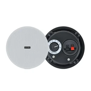 FCT52D Sound System 70V 100V Frameless 5.25 Inch Smart Home Music System Coaxial Ceiling Speaker With Back Cover