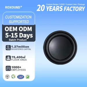 Factory 3Ohm 6W Full Range Iron Metal Speaker Unit for Smart Home Portable Bluetooth Audio OEM