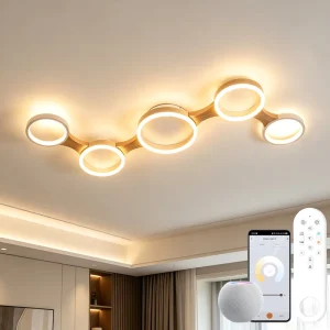 Factory Direct Sales Tuya Matter Smart Modern AC Powered LED Adjustable Color Temperature (2700K 6500K) Remote Voice Control for