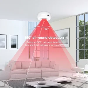 Factory Graffiti Wi-Fi Smart Infrared Motion Detector Mobile App Alarm PIR Guangdong
