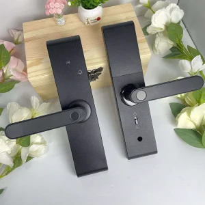Factory Price Electronic Fingerprint Lock Remote Unlock Digital Card Key Cerradura Intelligente Ttlock Smart Door Lock