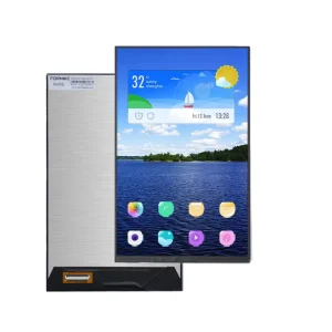Fast Sending 10.1 Inch 800×1280 TFT LCD Display Screen Module With MIPI Interface