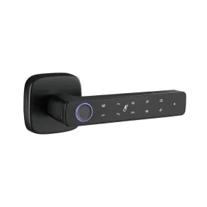 Fingerprint Smart Lock Zinc Alloy Stainless Steel Wood Door App Control Cloud Data Storage Card Lock Grade Security USB