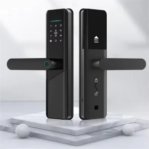 Fingerprint Ttlock Smart Lock Cerradura Electronica Biometric Intelligent Digital Smart Doir Lock