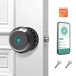Fingerprint Tuya App Smart Door Lock with Memory Card Support for Wood/Aluminum Doors Aluminum Alloy Construction