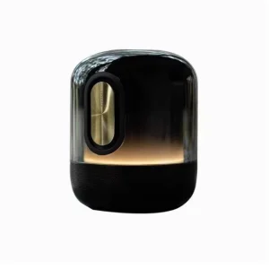 For Sound X New Smart Golden Luster Speaker Voice Controlled for Wireless Audio System for Surround Sound