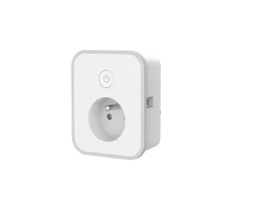 France Type Smart Home Socket with USB Port Powered by Tuya Smart Power Plug