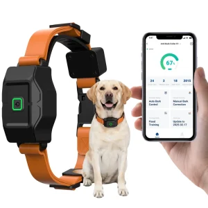 Free App Wireless GPS Dog Fence with Real-Time Location Smart Remote Training Pet Collar Wireless GPS Dog Fence System