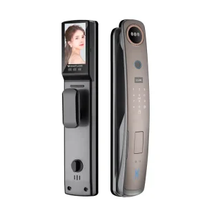 Fully Automatic Fingerprint PIN Face Recognition Smart Card Lock Cloud Storage Wi Fi Tuya App Wood Door Aluminium Alloy Grade C