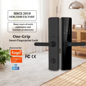 G08 FCC/CE/RoHS/ Listed Tuya WiFi Remote Control Smart Lock Cerradura Inteligente Wood Door Smart Locks