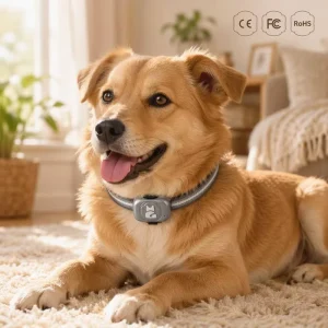 G16 Pet GPS Tracker Smart Collar IP67 Waterproof Anti Lost Real time Tracking Device for Dogs Cats Small animals