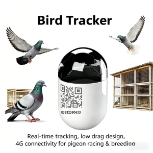 GPS Bird Tracker Waterproof Pigeon Ring 4G Network GSM Android IOS Trajectory Locator Durable Plastic LBS