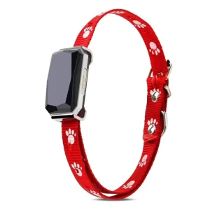 GPS Smart Mini Wearable Tracker for Dogs with Model M8 Collar