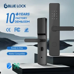 Grade C Cerradura Inteligente App Card Unlock Cloud Storage Compatible Multiple Doors