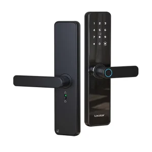 Graffiti All Access for Apartment Smart Lock Remote Management Via TTLOCK Mobile App C91 Model Wooden Door Lock