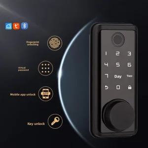 Graffiti Style Zinc Alloy Deadbolt Indoor Door Lock Smart Home Lock TTLock Tuya Remote Temporary Password Sharing for