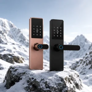 HR-05 Matter-Compatible WiFi Smart Fingerprint Handle Lock USB Powered for Hotel and Home Security