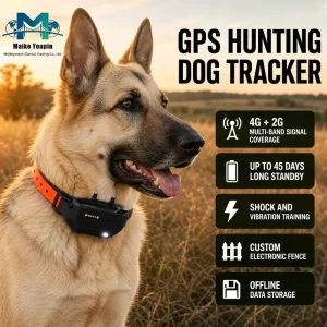 Heavy Duty 4G GPS Dog Tracker Collar with Remote Shock Training IP67 Waterproof 4000mAh Battery & LED Light for Hunting OEM