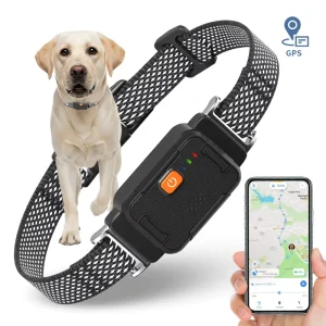 High Accurate 4G WIFI GPS Location Pet Collar Waterproof Real Time Location Health Monitoring Smart GPS Dog Tracker With APP