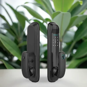 High Quality F01 Grade C Fully Automatic Smart Lock Aluminum Alloy Electronic Lock for Wood Doors Directly Manufacturer