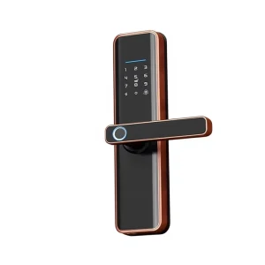 High Quality Keyless Digital Intelligent Biometric Smart Lock Camera for Aluminum Hotels Wi-Fi for Enabled Cloud