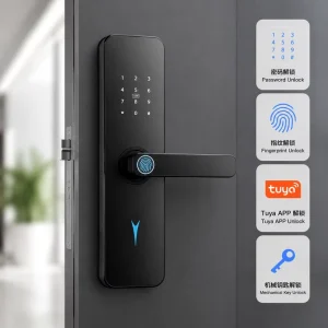 High Quality Oem Ttlock Home Keyless Fingerprint Electric Smart Door Lock Ip65 for Wooden Doors