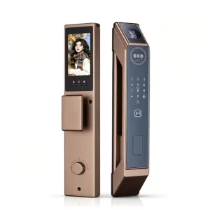 High Quality WiFi Aluminum Alloy Automatic Biometric 3D Face Recognition Smart Door Lock Cloud for Steel Tuya App Controlled