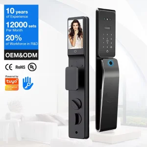 Custom Smart Durable Cylinder Biometric Fingerprint RFID Card Unlock Digital Password Home Door Lock With Camera