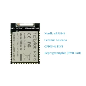 Holyiot NRF5340 IOT Wearable Devices Smart Home Ultra low Power Consumption Module Bluetooth Module BLE 5.3 BT Module